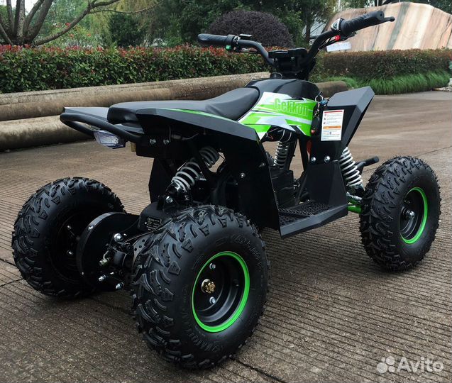 Детский квадроцикл Motax gekkon 1300W