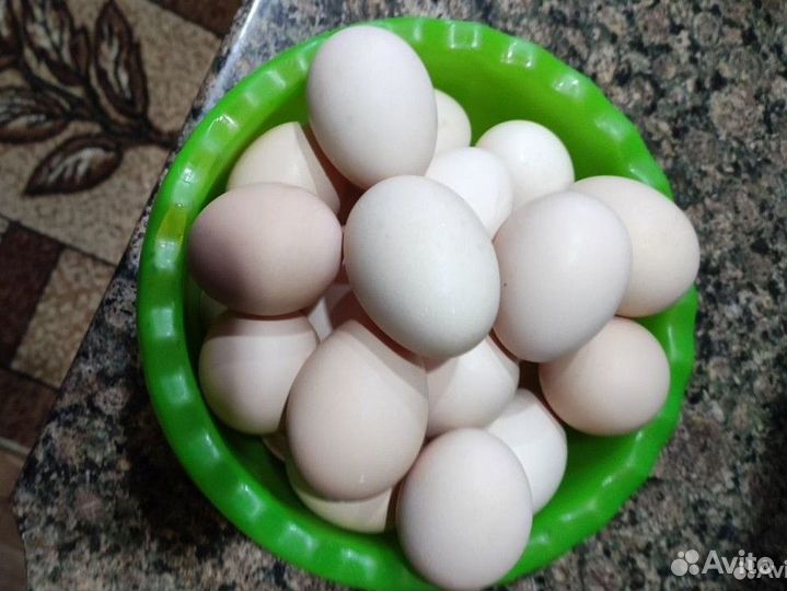 Домашние куриные яйца