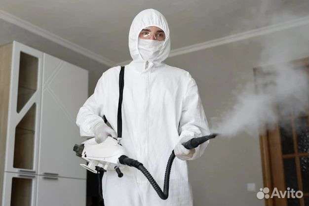 Дезинсекция от клопов, тараканов, блох, муравьев