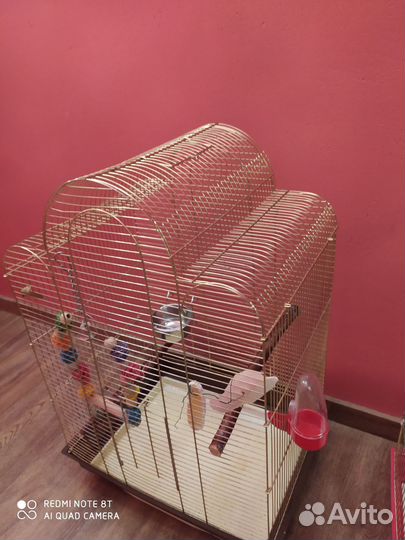 Клетки гнезда доставка для попугаев