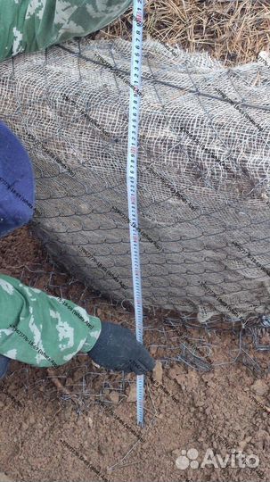 Ель сосна 3,4,5 метра премиум качество