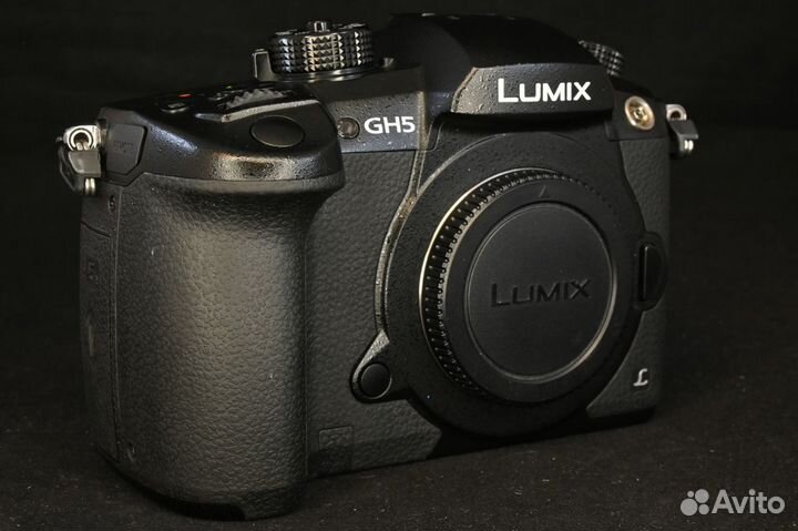 Panasonic GH5 body