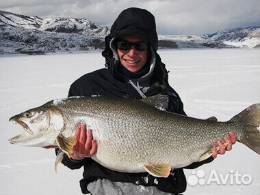 Активатор клева для рыбы