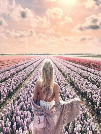 Картина по номерам