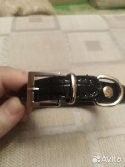 Кожаный ошейник для вашего любимца