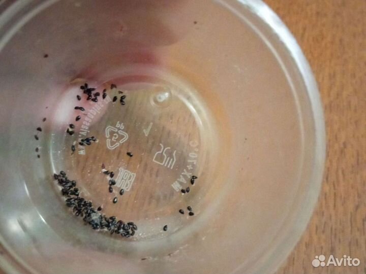 Семена сортовых шлюмбергер