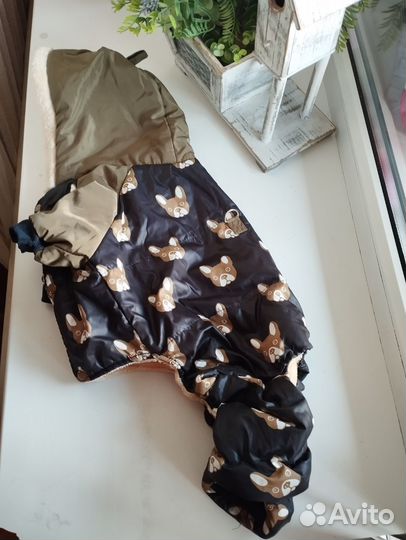 Одежда для собак