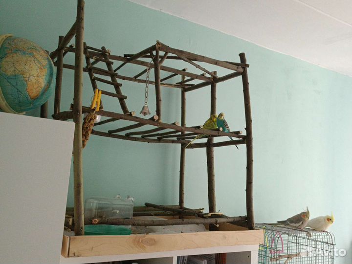 Игровая площадка для попугаев