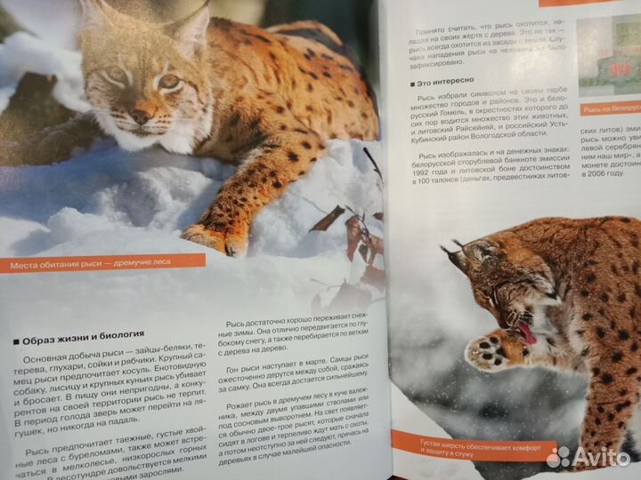 Книги детские