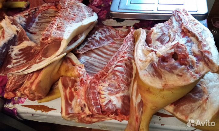 Мясо свинина опт