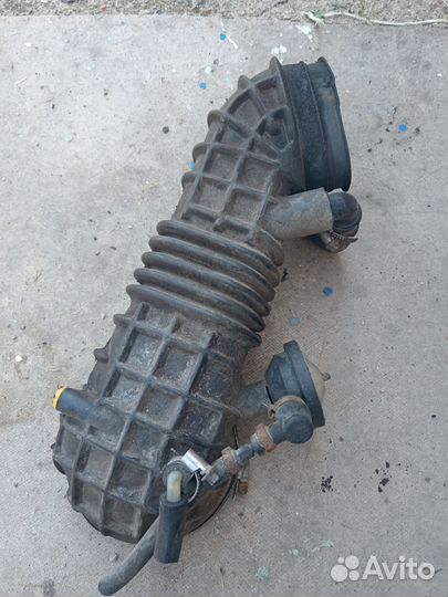 Гофра черепаха audi