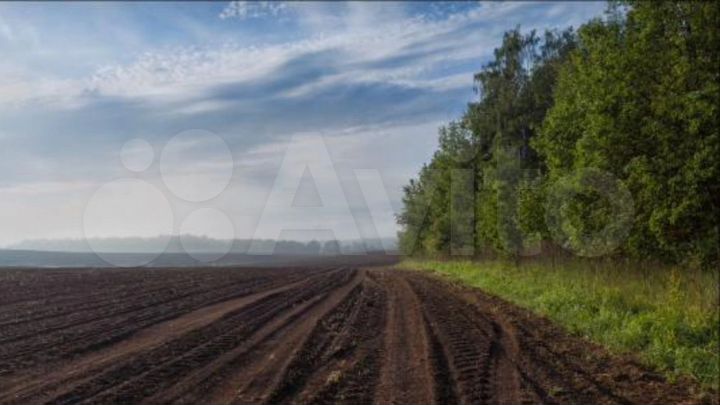 Участок 333,2 га (СНТ, ДНП)