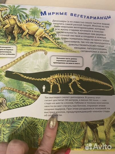 Динозавры детская энциклопедия с окошками