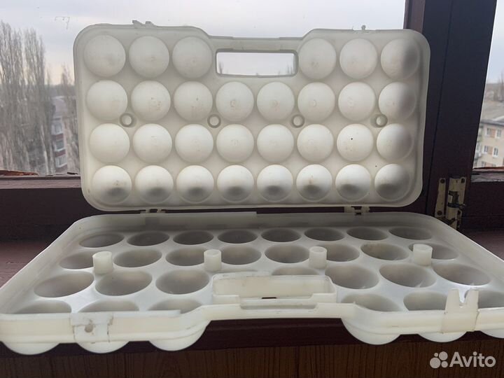 Клетка для яиц