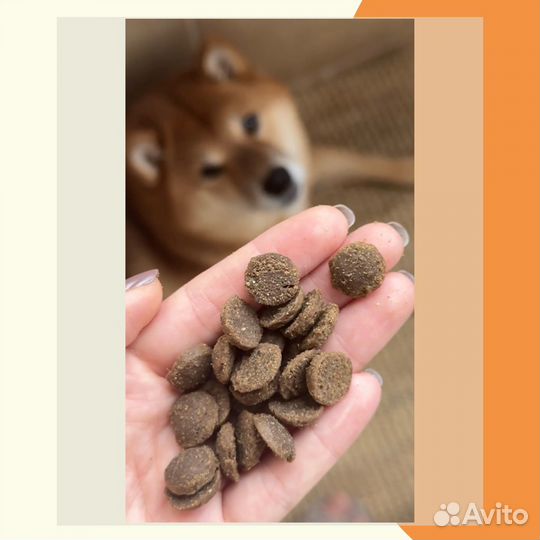 Корм Суперпремиум класса для собак и кошек