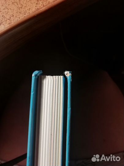 Лариса Суркова 