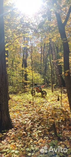 Питбайк kayo Basic YX125