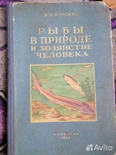Рыбы в природе и хозяйстве человека