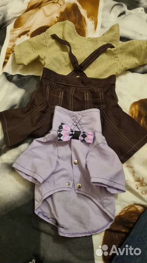 Одежда для собак мелких пород бу