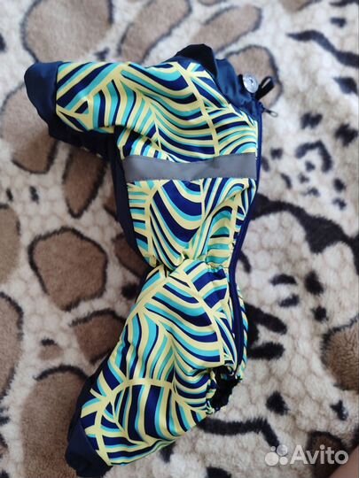 Одежда для собак мелких пород