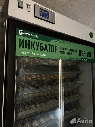 Инкубатор NBF -1400 выводной шкаф