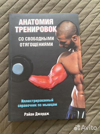 Анатомия тренировок со свободным отягощениями