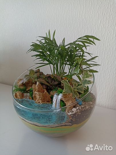 Флорариум с тропическими влаголюбивыми растениями