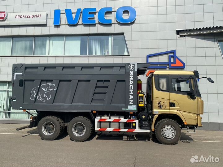 Shacman (Shaanxi) SX32586V384, 2023