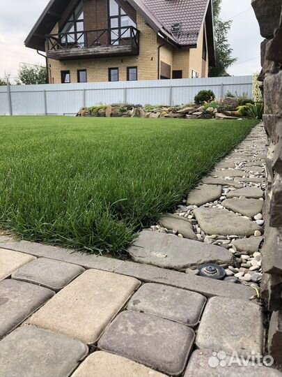 Рулонный газон