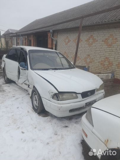 Тойота карина