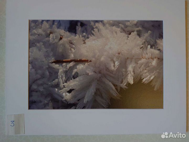 Фото пейзаж