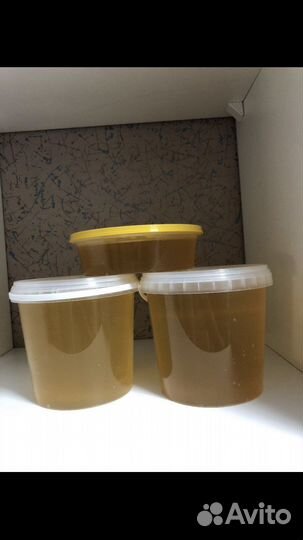 Мёд липовый 2023