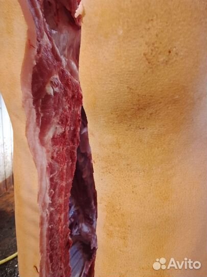 Мясо свинина