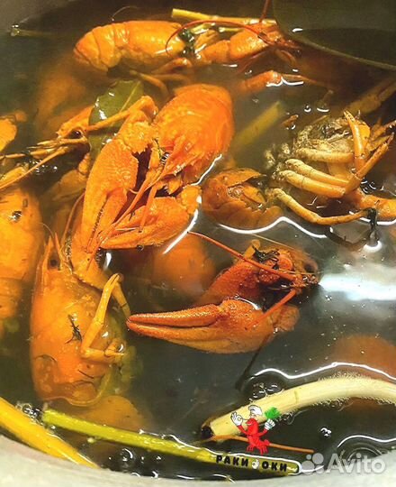 Раки живые/варёные