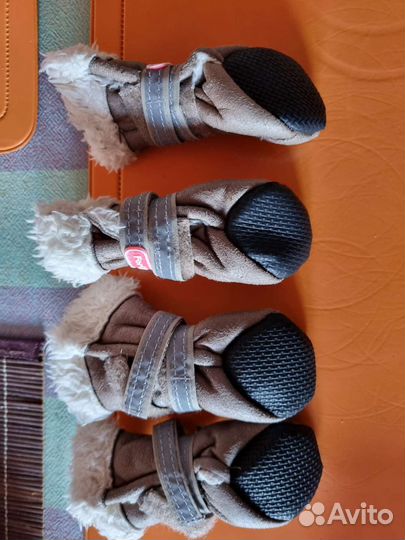 Сапожки для маленьких собачек