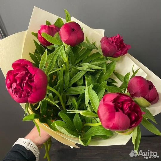 Букет свежих пионов