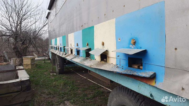 Пчеловодный павильон