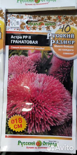 Семена астры,паслена