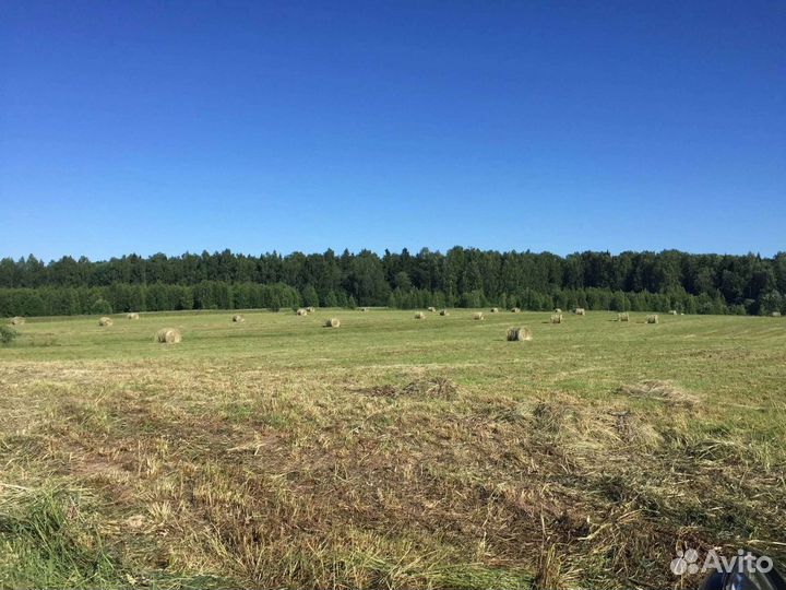 Сено в рулонах