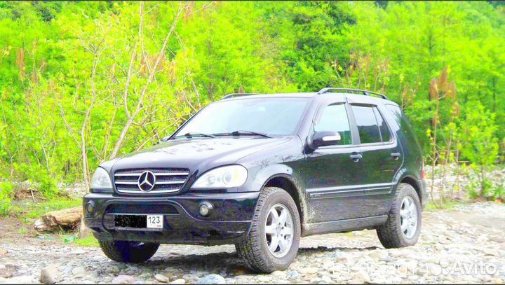 Сочи Абхазия Красная поляна. экскурсии