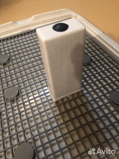 Лоток для мини собаки