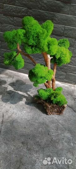 Дерево из гипса