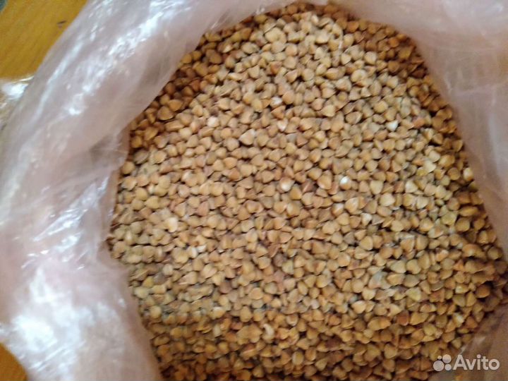 Клетку для попугая. Пшено хлеб и др корм животных