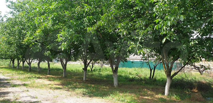 Участок 15 га (СНТ, ДНП)