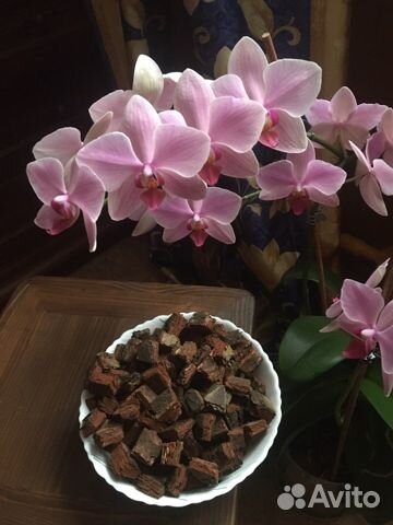 Кора сосны для орхидей,мох сфагнум