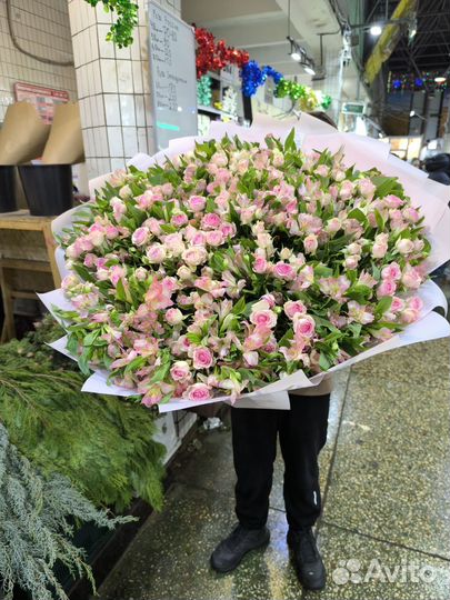 Альстромерия