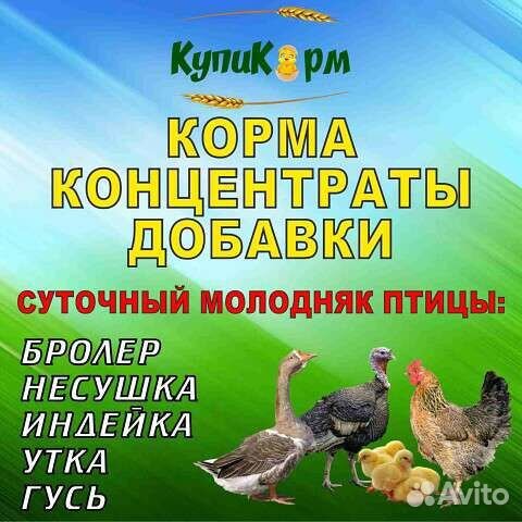 Магазин реализует суточный молодняк птицы и корма
