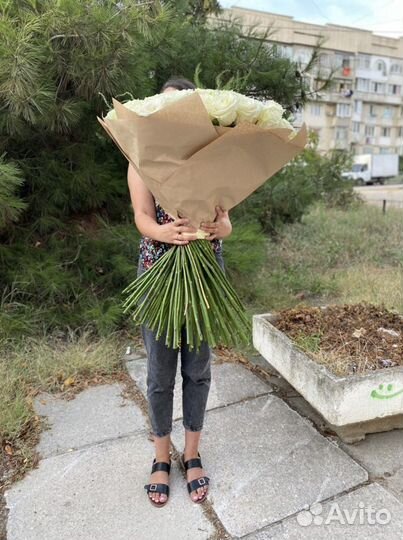 Роза 60,70,80 см, высокая