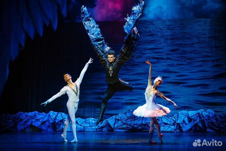 Билеты в большой театр. Лебединое озеро