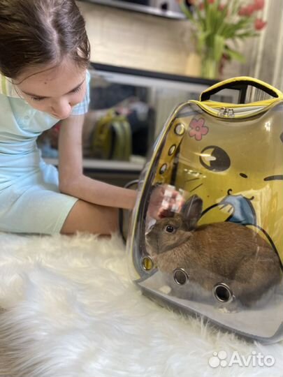 Рюкзак переноска сумка переноска